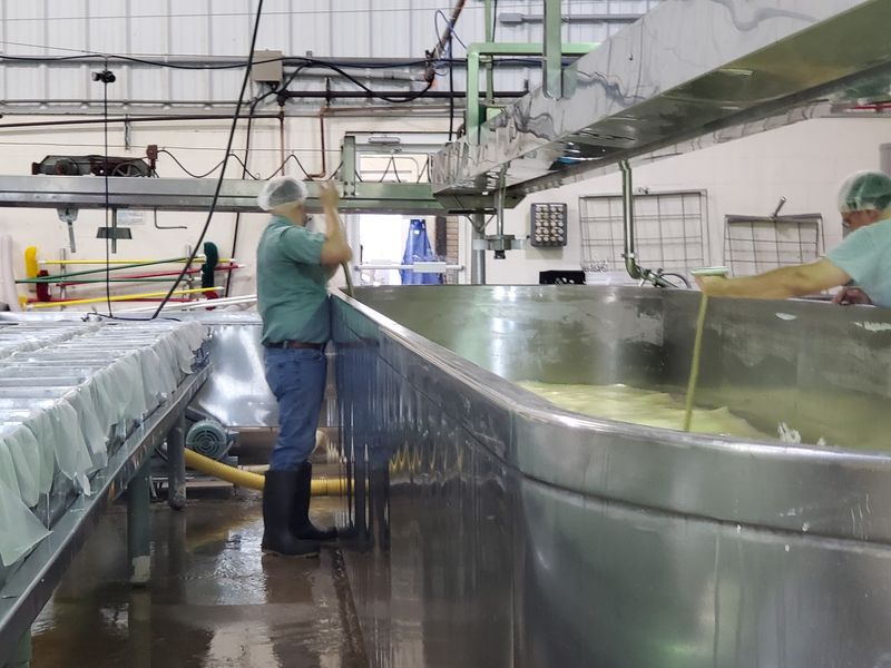 Robot Milking and the Dairy Tour