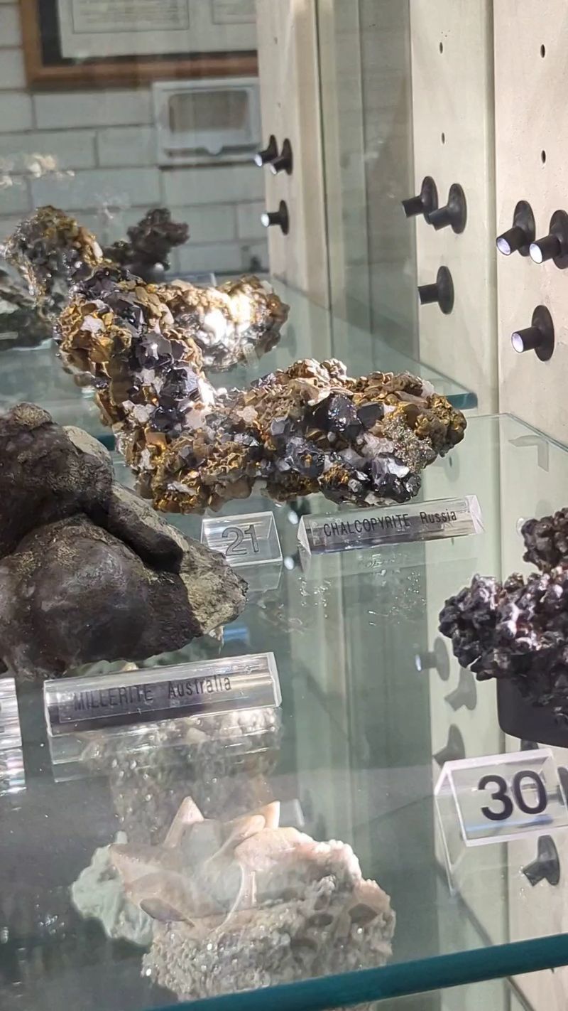 Rock Collecting And Hands-On Curiosity