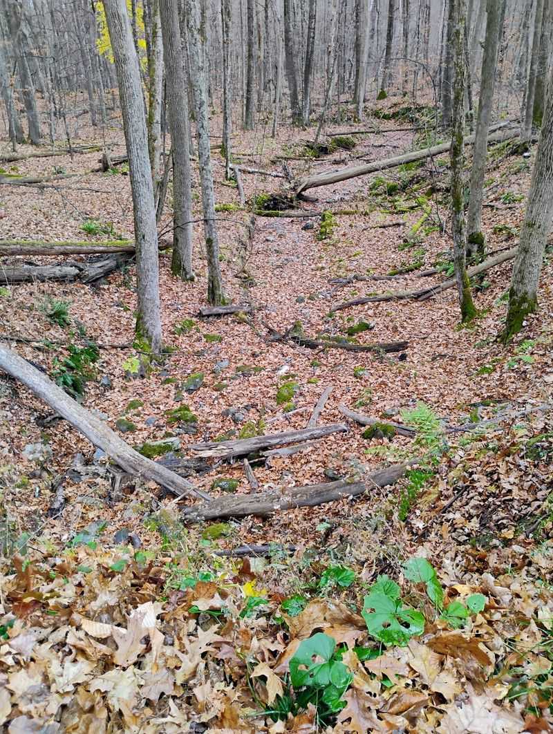 Rocks, Roots, and Ledges Everywhere Rocks, Roots, and Ledges Everywhere