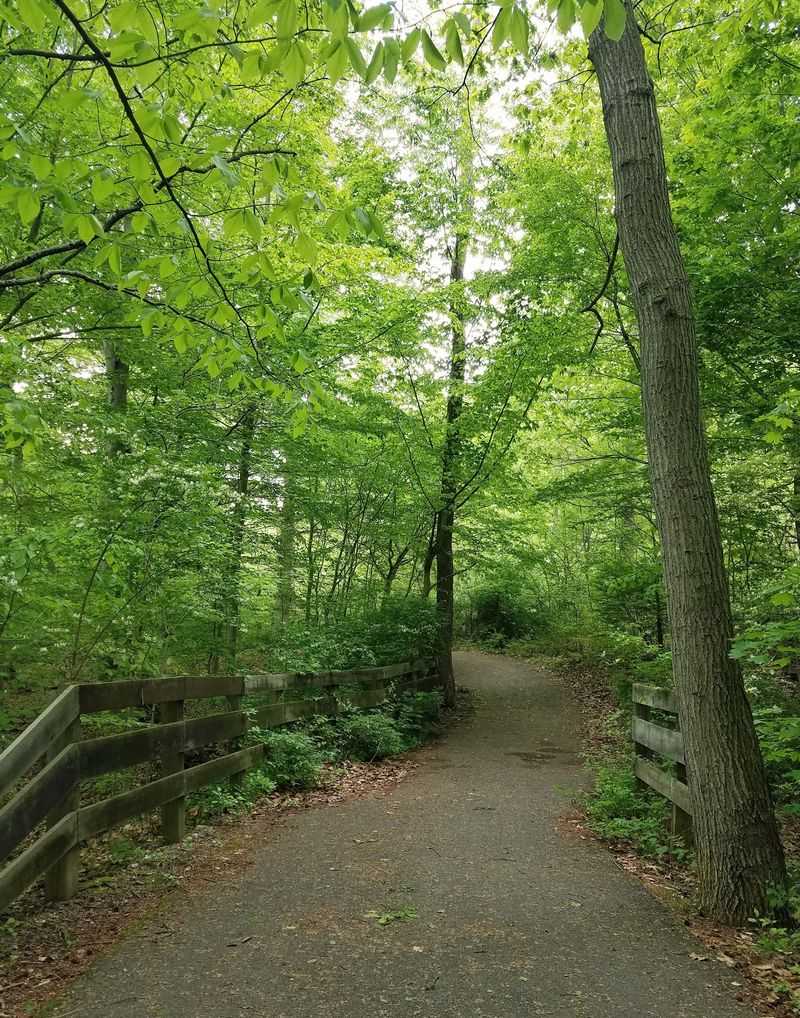 Rockwood Park Loop Trail, Wilmington, Delaware