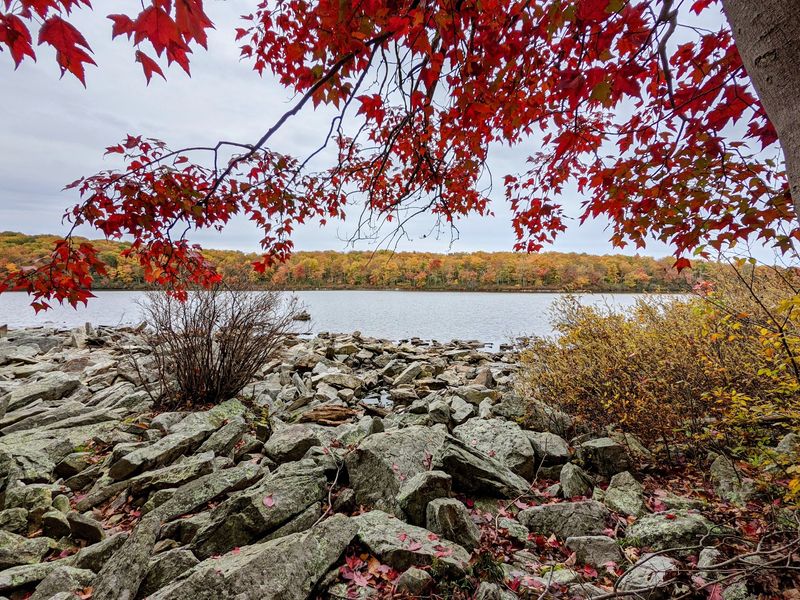 Rocky Ground Along the Shore