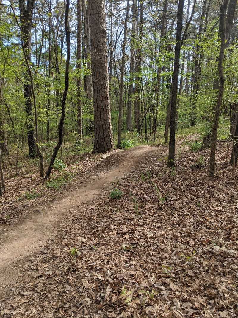 Rolling Terrain and Dense Woodlands: The Landscape That Sets the Tone Rolling Terrain and Dense Woodlands: The Landscape That Sets the Tone
