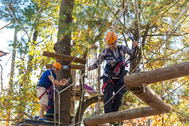 Rope Bridges, Colored Routes, and KidZip Courage Rope Bridges, Colored Routes, and KidZip Courage