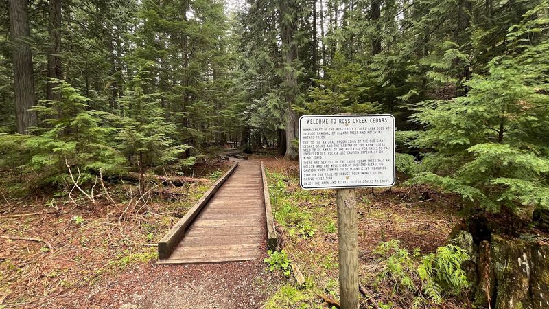 Ross Creek Cedars Nature Trail, Heron, Montana Ross Creek Cedars Nature Trail, Heron, Montana