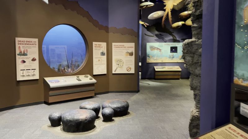 Rotating Exhibits and Special Events That Reward Return Visits Rotating Exhibits and Special Events That Reward Return Visits