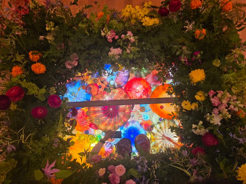 Rotating Shows and Art in Bloom