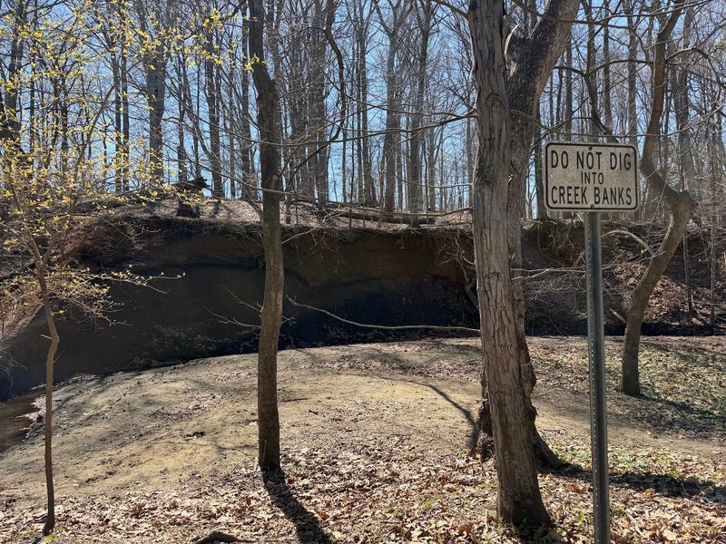 Rules That Protect The Creek Rules That Protect The Creek