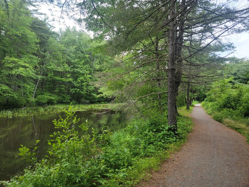 Running, Riding, and Walking the Trails Running, Riding, and Walking the Trails