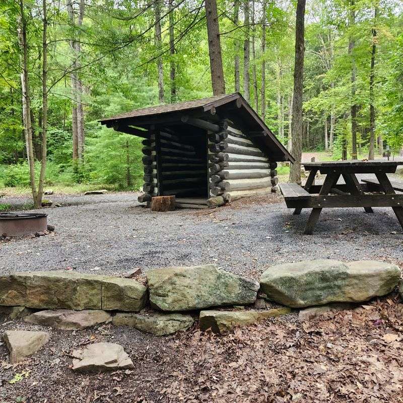 Rustic Campsites Where the Creek Sings All Night Rustic Campsites Where the Creek Sings All Night