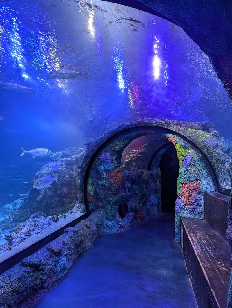 SEA LIFE Michigan Aquarium SEA LIFE Michigan Aquarium