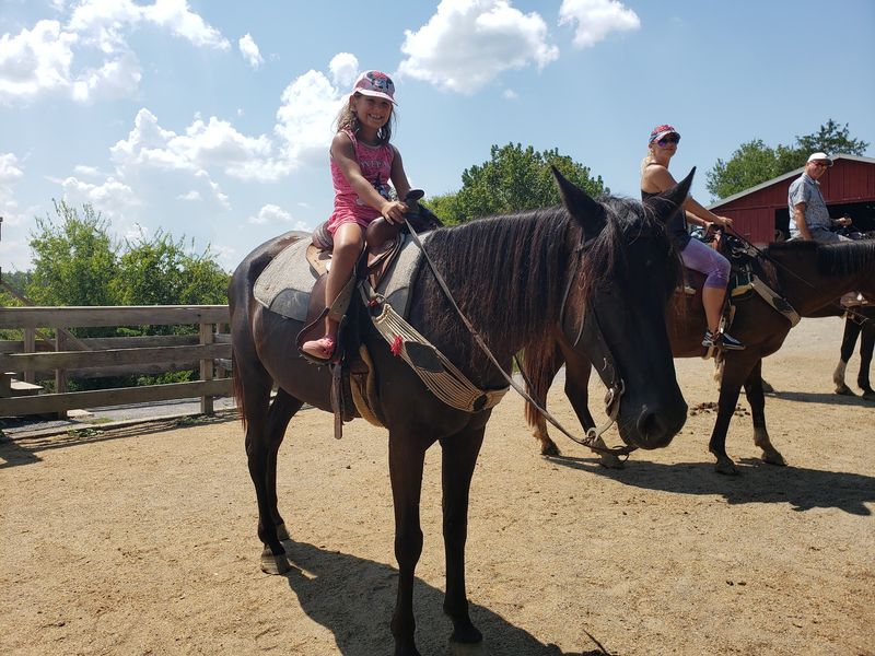 Saddle Up for Horse and Pony Rides Saddle Up for Horse and Pony Rides