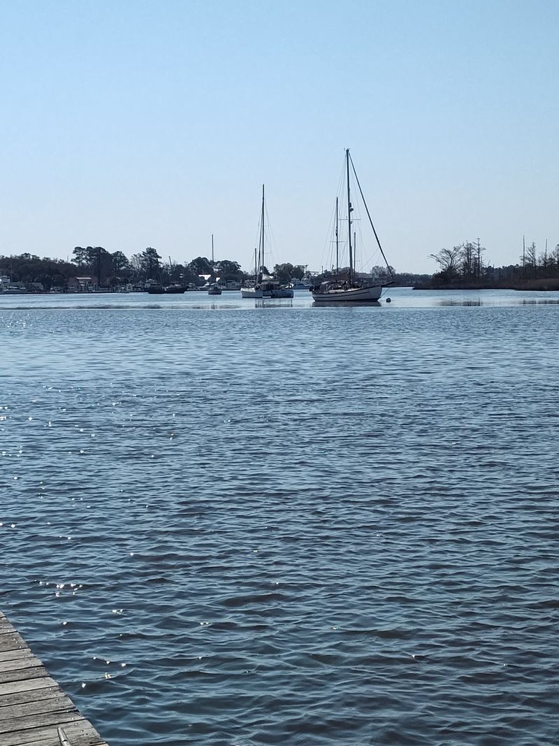 Sailboats and Scenery on the Harbor Sailboats and Scenery on the Harbor