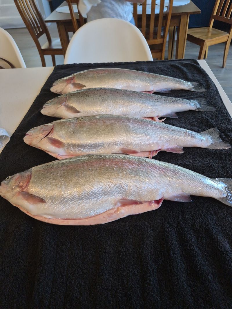 Salmon, Cod, and Cuts You Can't Find at the Grocery Store Salmon, Cod, and Cuts You Can't Find at the Grocery Store