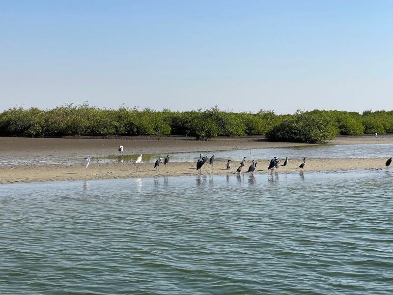 Saloum Delta, Senegal Saloum Delta, Senegal