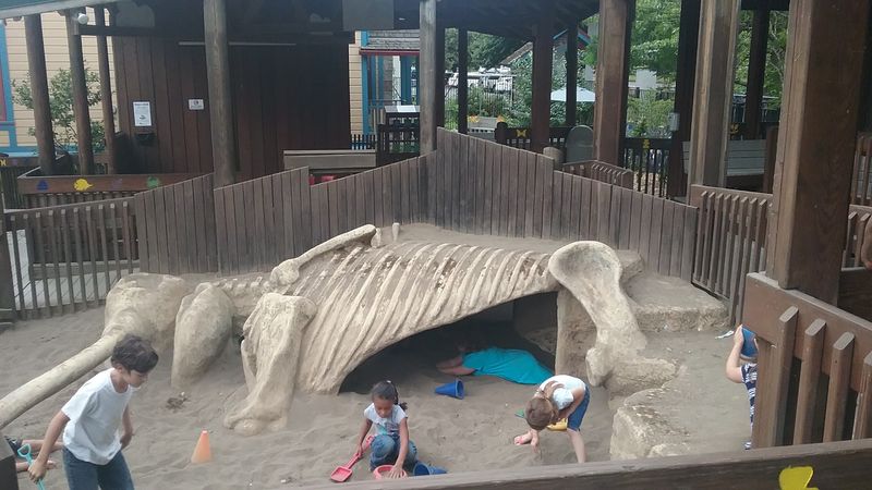 Sand Pits, Slides, and the Wide-Open Play Yard Sand Pits, Slides, and the Wide-Open Play Yard