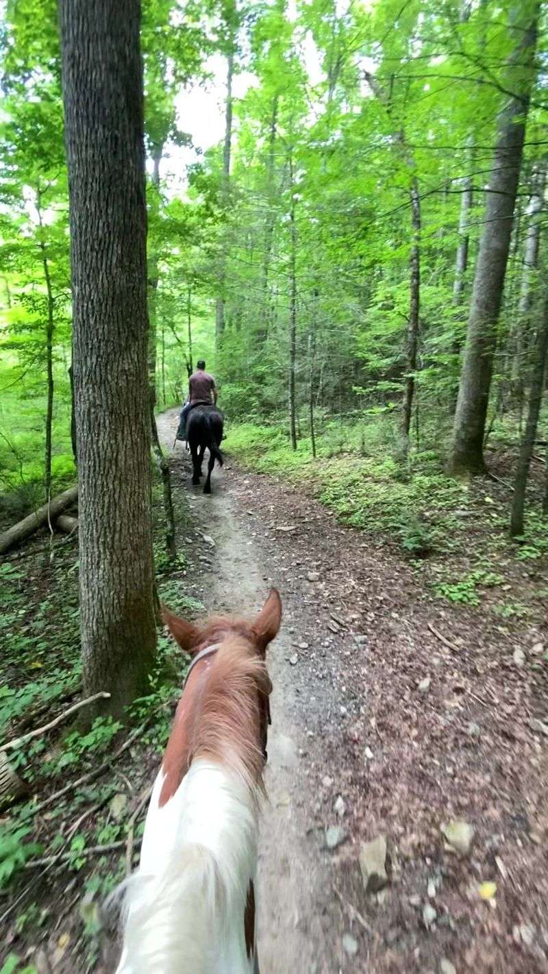 Scenery That Stops You Mid-Ride
