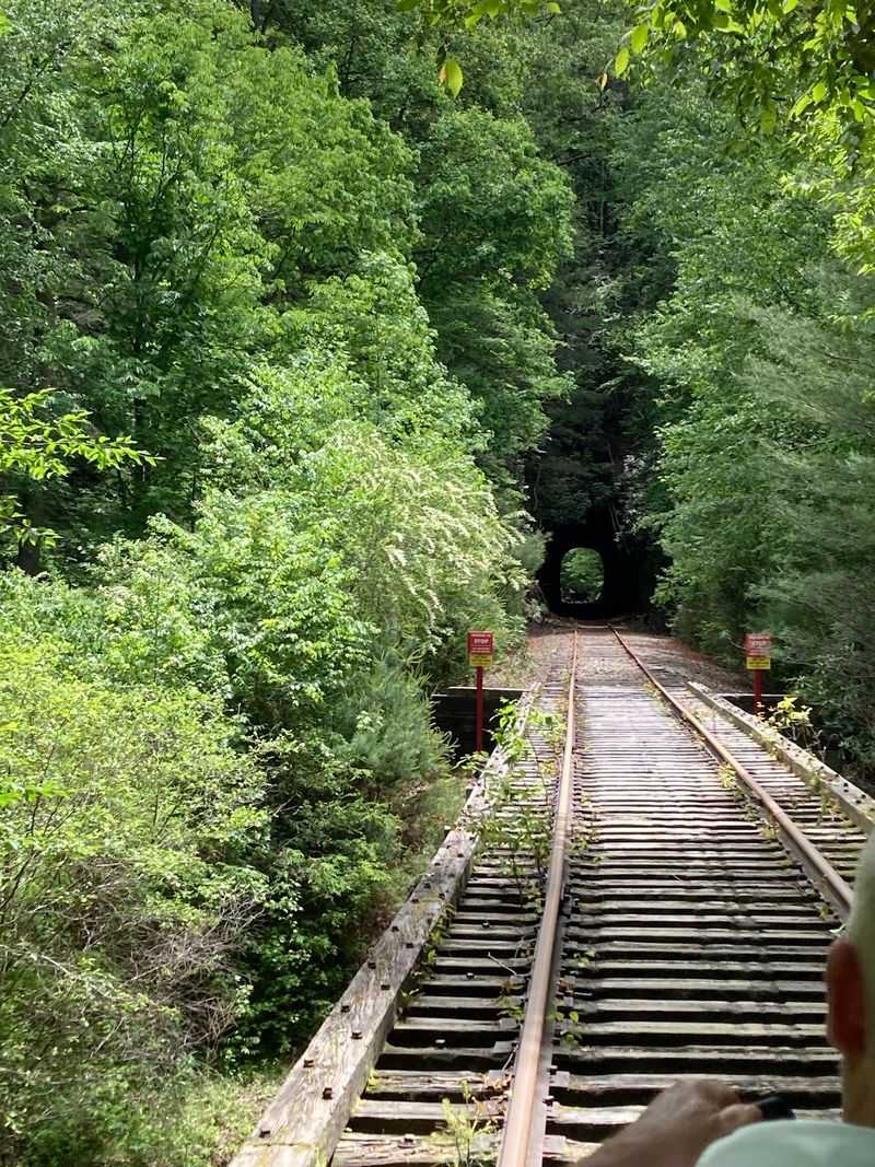 Scenery of Creeks, Forests, and Mountain Views