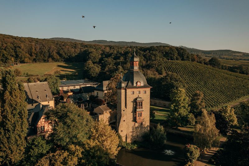 Schloss Vollrads, Rheingau, Germany