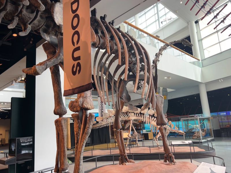 Science Museum of Minnesota - St. Paul, Minnesota