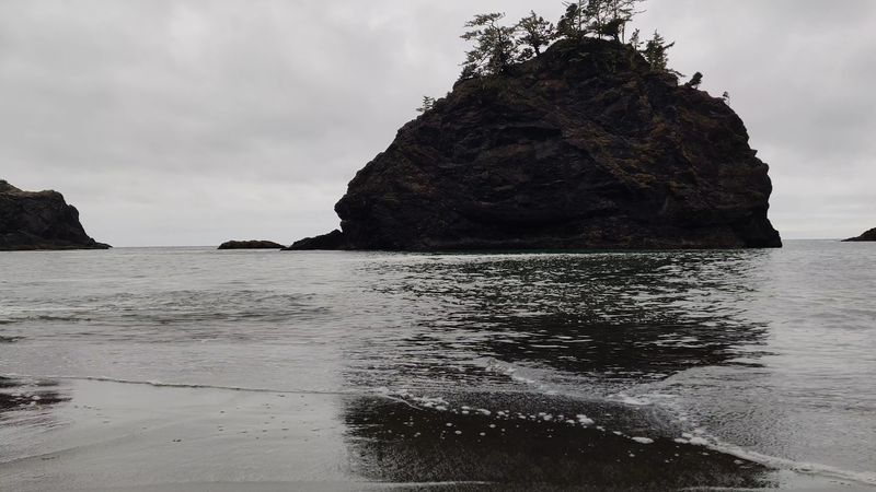 Seals, Otters, and Coastal Wildlife Seals, Otters, and Coastal Wildlife