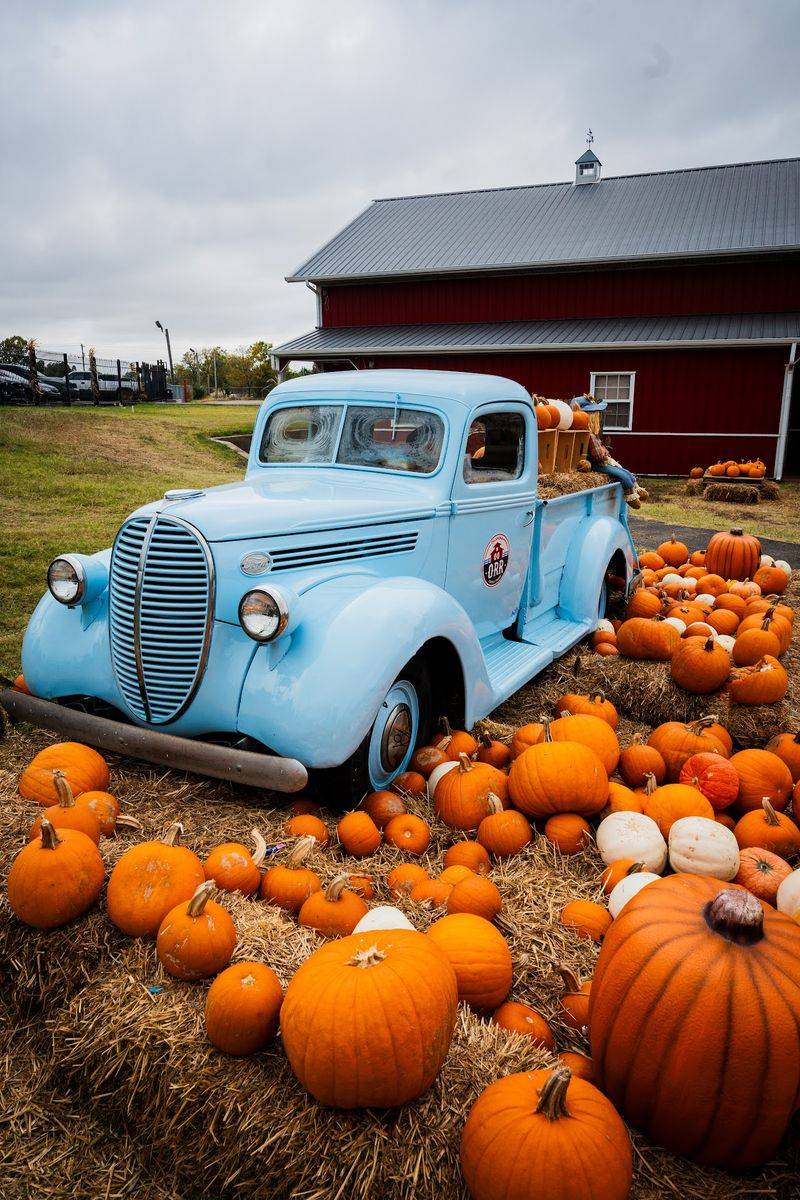Seasonal Attractions That Keep Every Visit Fresh