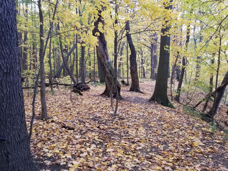 Seasonal Changes and the Best Times to Visit Seasonal Changes and the Best Times to Visit