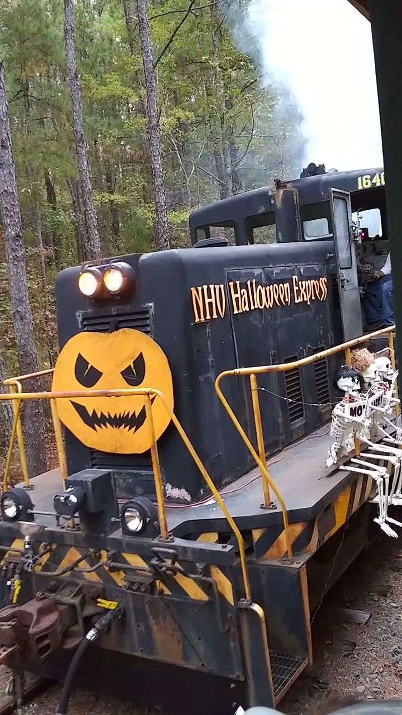 Seasonal Events That Steal the Spotlight Seasonal Events That Steal the Spotlight
