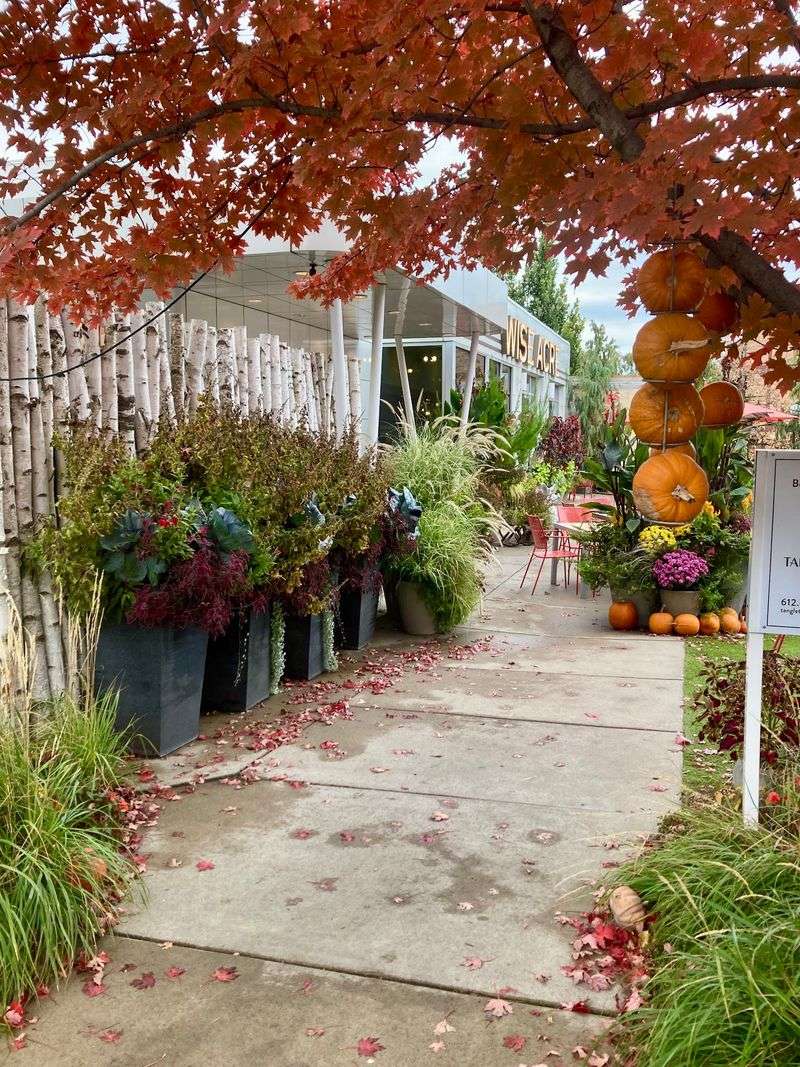 Seasonal Events and Fall Activities That Bring Families Together