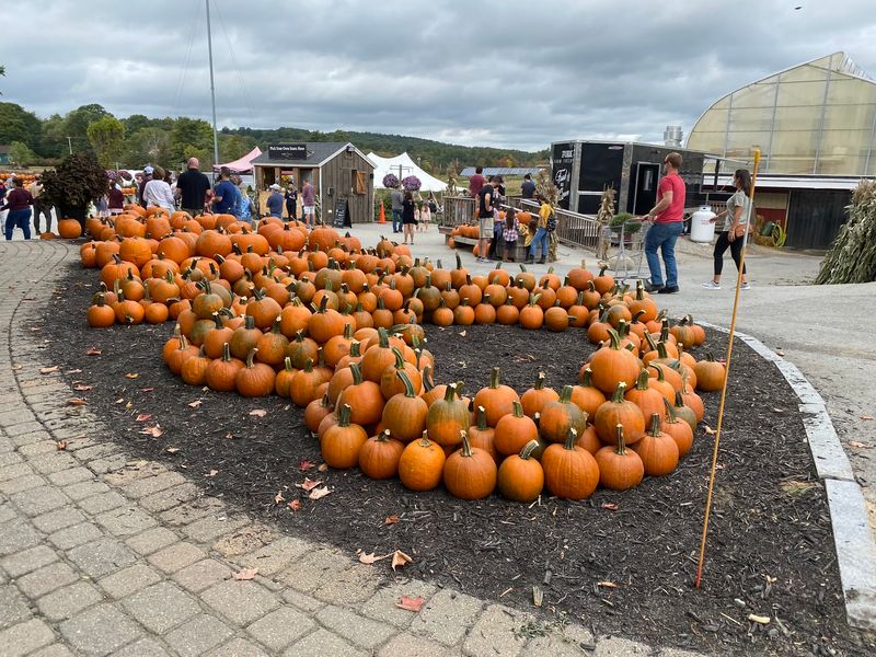 Seasonal Festivals for Every Month Seasonal Festivals for Every Month