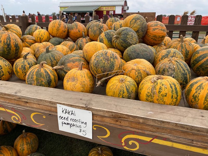 Seasonal Rhythm and What to Expect When You Go Seasonal Rhythm and What to Expect When You Go