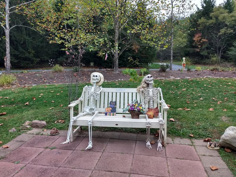 Seasonal Visits and How the Park Changes Throughout the Year