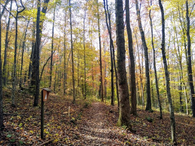 Seasons That Change The Whole Experience Seasons That Change The Whole Experience