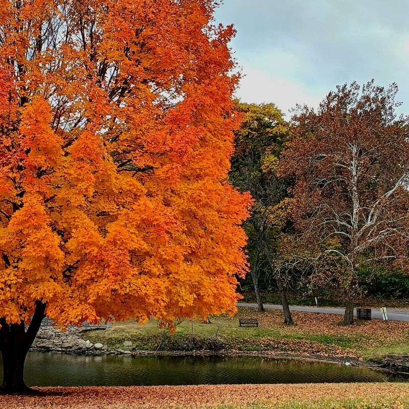Seasons That Completely Reinvent the Park Seasons That Completely Reinvent the Park
