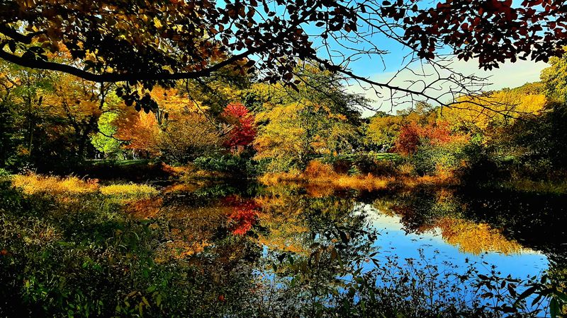 Seasons That Reinvent The Grounds Seasons That Reinvent The Grounds