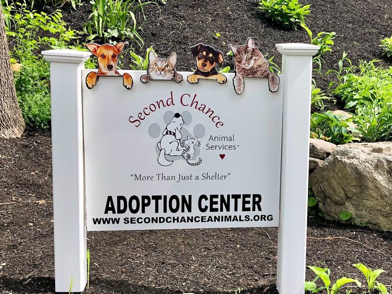 Second Chance Animal Services Adoption Center, East Brookfield, MA Second Chance Animal Services Adoption Center, East Brookfield, MA