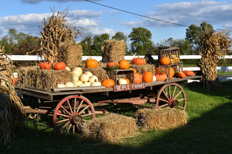 Seiple Farms, Bath, Pennsylvania Seiple Farms, Bath, Pennsylvania