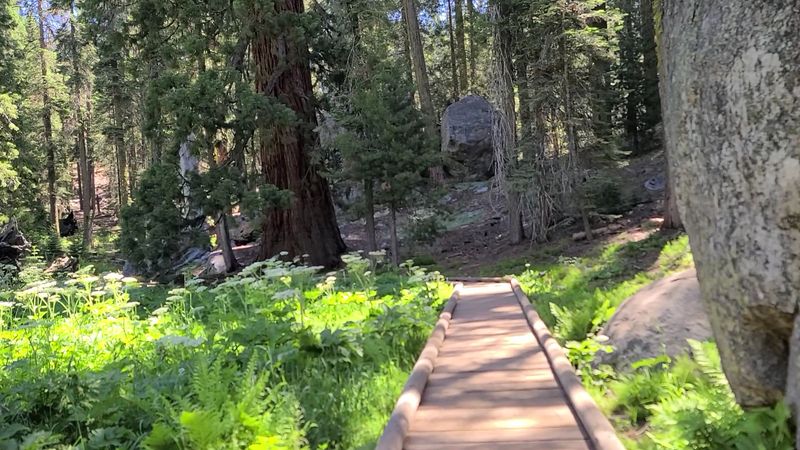 Sequoia National Park, Three Rivers, California