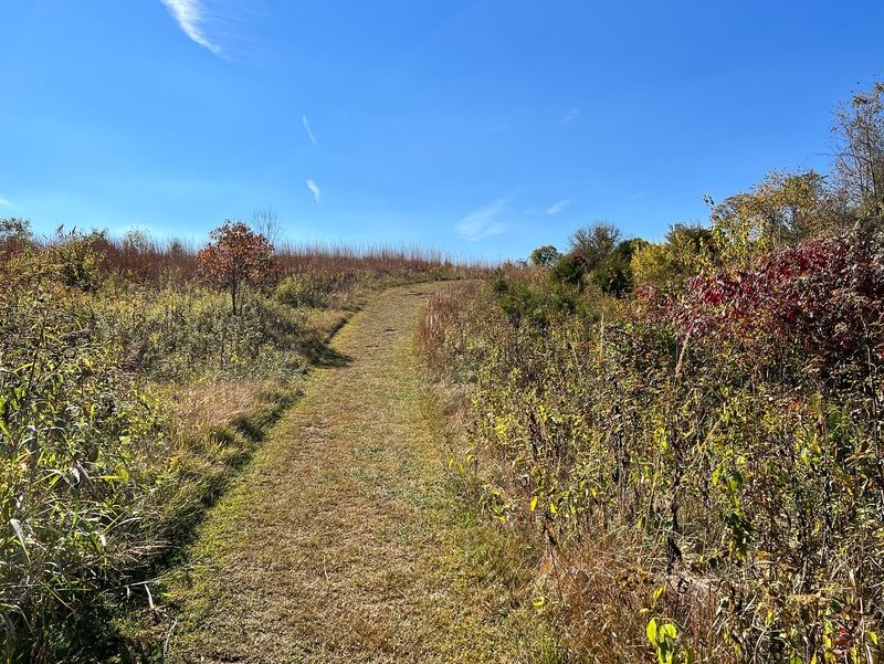 Seven Islands State Birding Park, Kodak, TN Seven Islands State Birding Park, Kodak, TN
