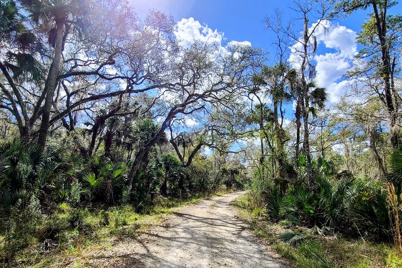 Several Ecosystems in One Walk