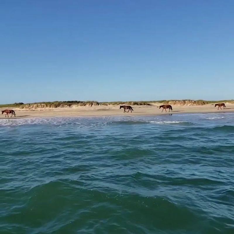 Shackleford Banks Shackleford Banks