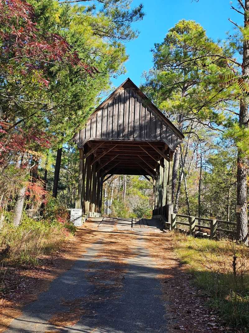 Shady Gazebos and Picnic Pauses