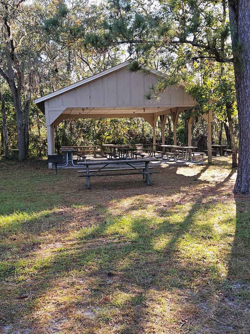 Shady Picnic Spots and Covered Shelters