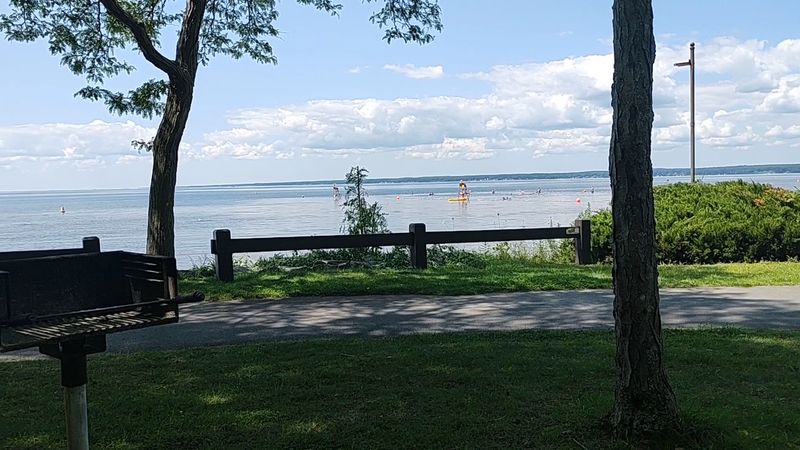 Shady Picnic Spots and Grills With a View
