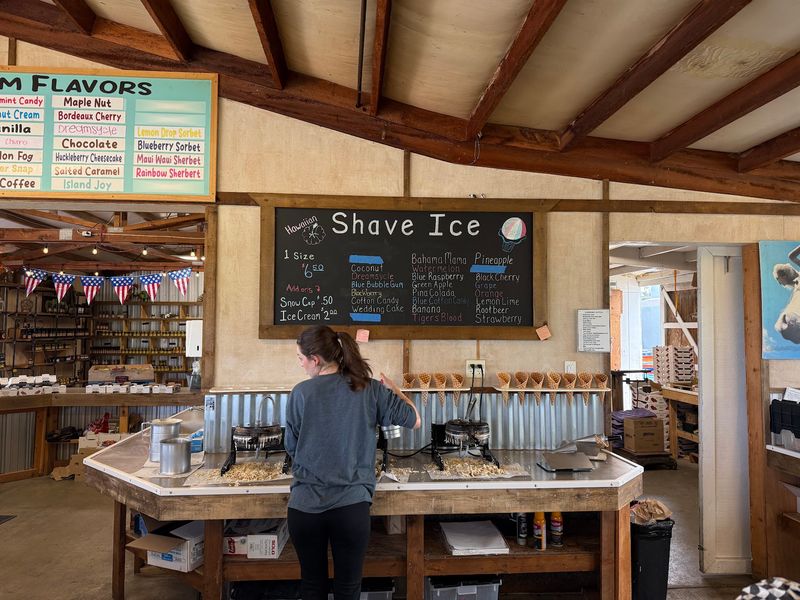 Shaved Ice and the Famous Waffle Dog