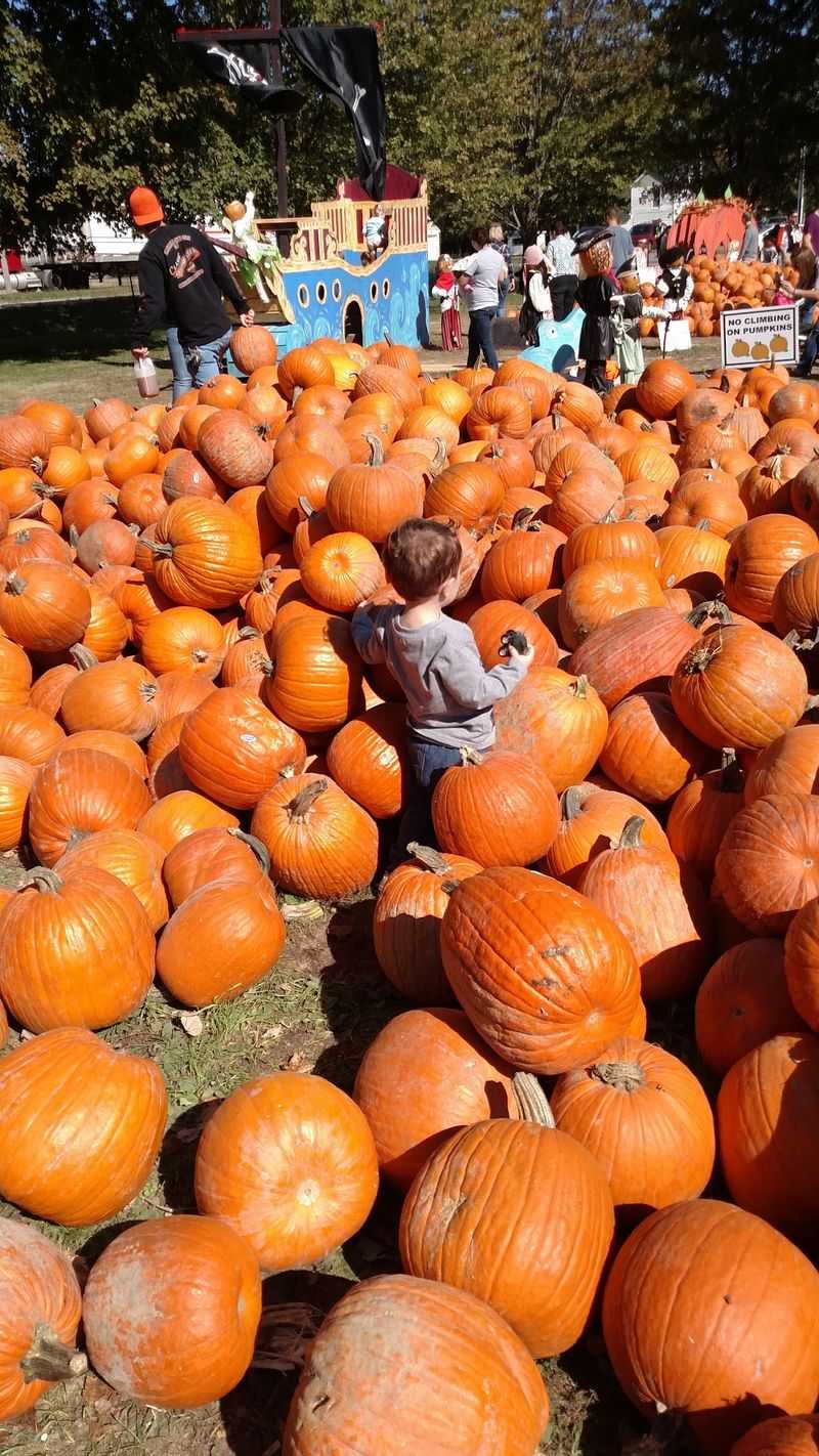 Shaw Farms, Ohio, Milford