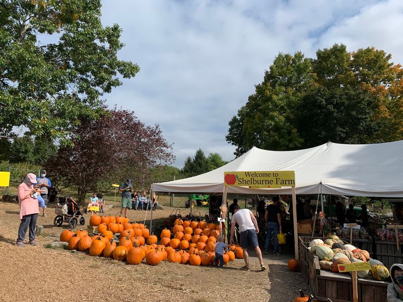Shelburne Farm, Stow, MA