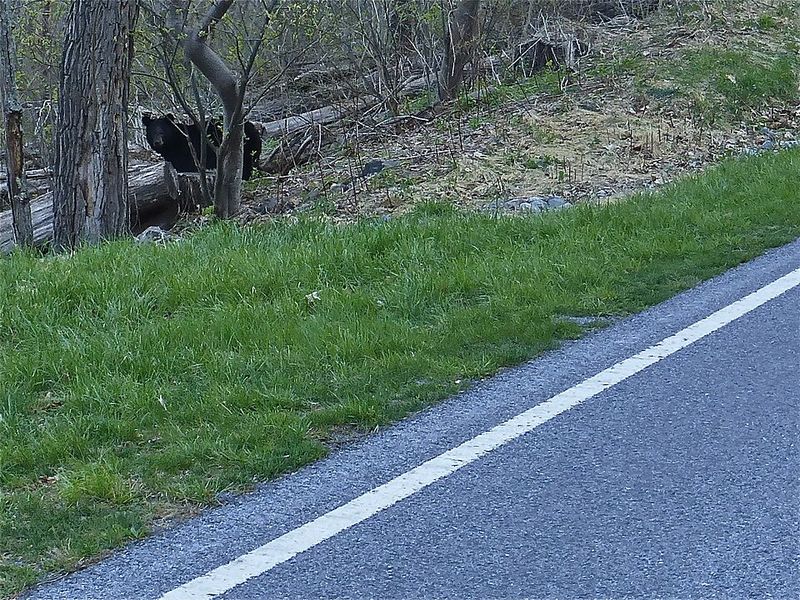 Shenandoah National Park, Luray, Virginia