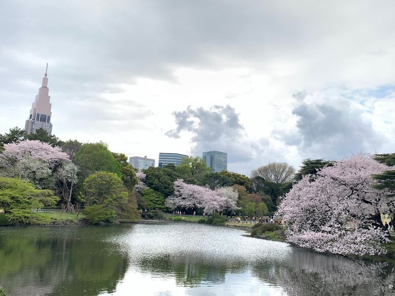 Shinjuku Gyoen National Garden, Shinjuku