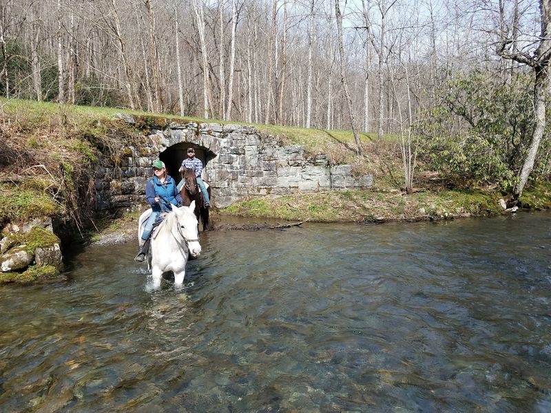 Shorter Rides for a Quick Taste of the Trail