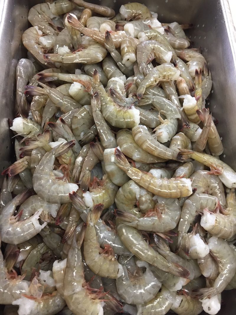 Shrimp So Fresh It Practically Waves at You Shrimp So Fresh It Practically Waves at You